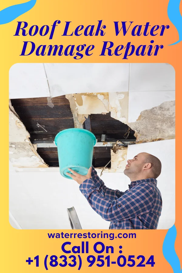 Roof Leak Water Damage Repair in Mexico, MO